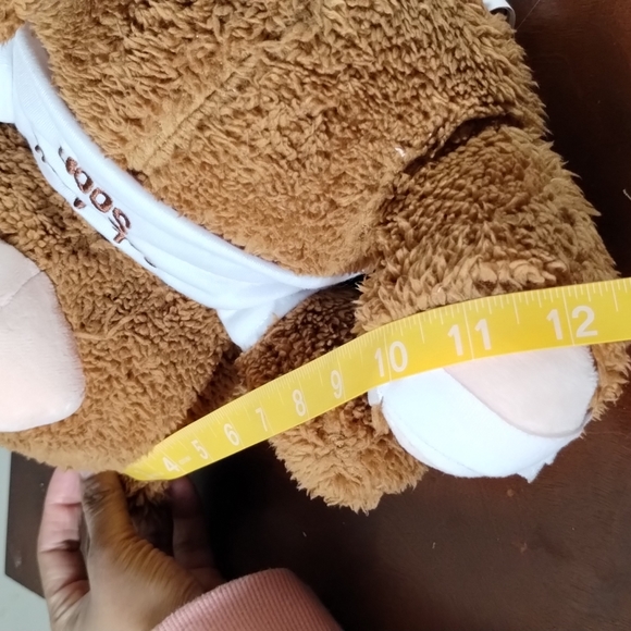 ✓PREXTEX 12-Inch Get Well Soon Plush Bear - Soft Stuffed Teddy Bear. - Picture 13 of 14